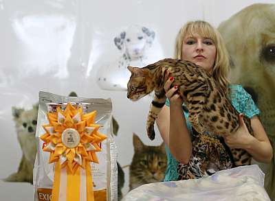 �������� ����� '�������� ���-�����' 10-11 ��� 2014 1-121-169A6021 copy.jpg